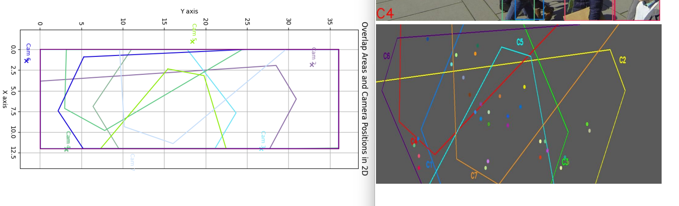 左图为本工具对 Wildtrack 的结果，右图(有一定变形)为参考